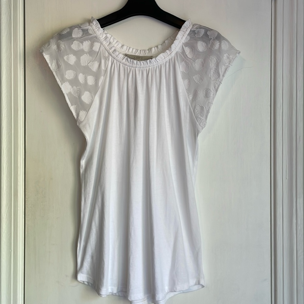 NWT Loft White Sheer Cap Sleeve Knit Top XS